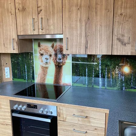 Alpakaglueck Apartment Muhlbach  Luaran gambar